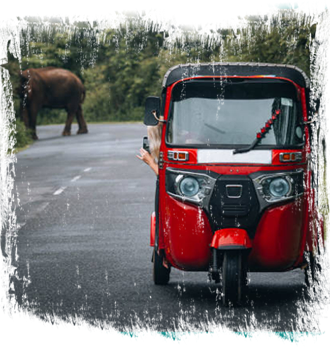 Private Ella Tuk Tuk Tours with Tuk Tuk Trails Ella